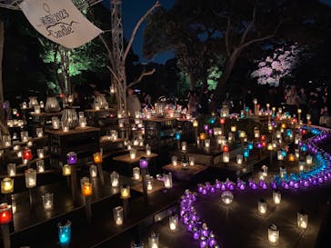 江の島シーキャンドルに投稿された画像（2023/11/4）