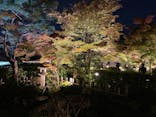 国営昭和記念公園 秋の夜散歩に投稿された画像（2023/11/5）