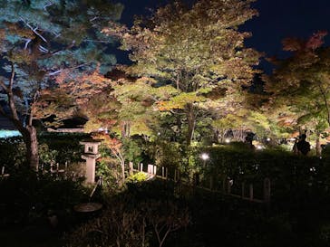 国営昭和記念公園 秋の夜散歩に投稿された画像（2023/11/4）