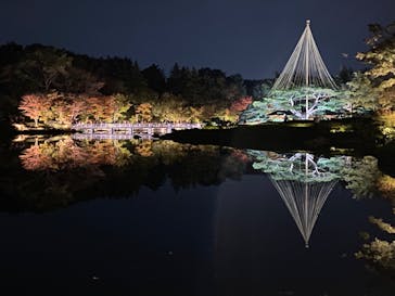 国営昭和記念公園 秋の夜散歩に投稿された画像（2023/11/4）