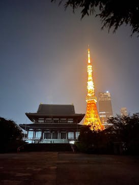 東京タワーに投稿された画像（2023/11/4）