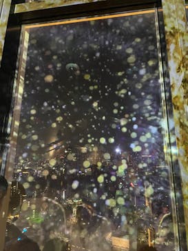 東京タワーに投稿された画像（2023/11/4）