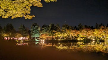 国営昭和記念公園 秋の夜散歩に投稿された画像（2023/11/4）