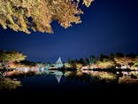 国営昭和記念公園 秋の夜散歩に投稿された画像（2023/11/5）