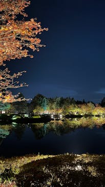 国営昭和記念公園 秋の夜散歩に投稿された画像（2023/11/4）
