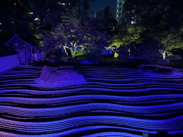 博多ライトアップウォーク実行委員会に投稿された画像（2023/11/4）