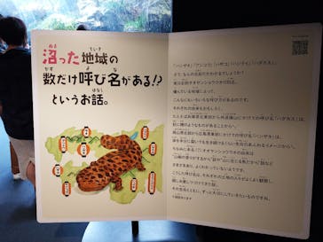 京都水族館に投稿された画像（2023/11/4）