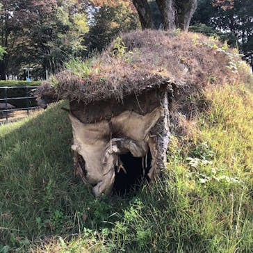 江戸東京たてもの園に投稿された画像（2023/11/4）