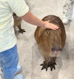 アニタッチみなとみらいに投稿された画像（2023/11/5）