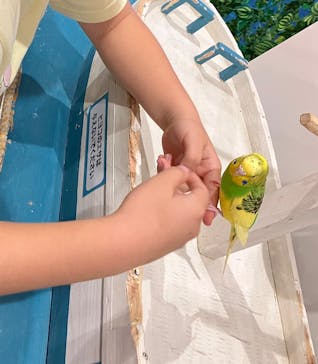 アニタッチみなとみらいに投稿された画像（2023/11/4）