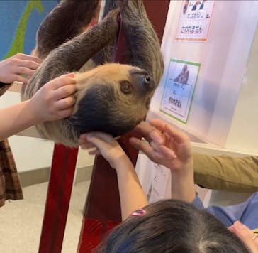 アニタッチみなとみらいに投稿された画像（2023/11/4）