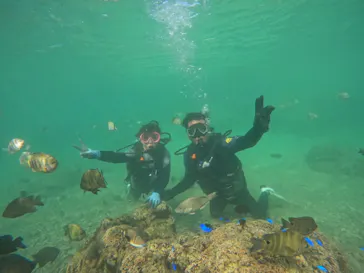 武藤潜水に投稿された画像（2023/11/4）