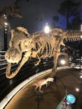 福井県立恐竜博物館に投稿された画像（2023/11/5）