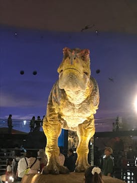 福井県立恐竜博物館に投稿された画像（2023/11/4）