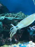 サンシャイン水族館に投稿された画像（2023/11/5）