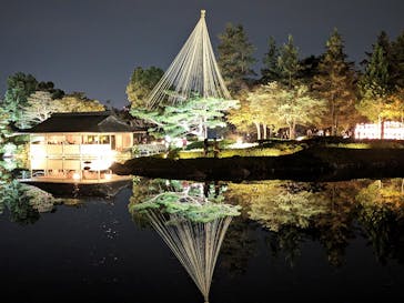 国営昭和記念公園 秋の夜散歩に投稿された画像（2023/11/4）