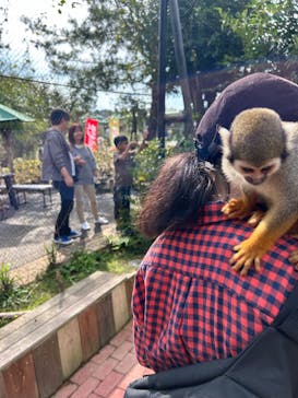 長崎バイオパークに投稿された画像（2023/11/4）