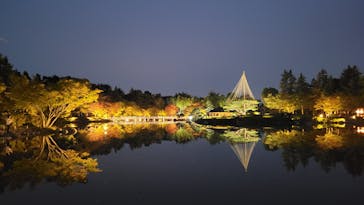 国営昭和記念公園 秋の夜散歩に投稿された画像（2023/11/4）