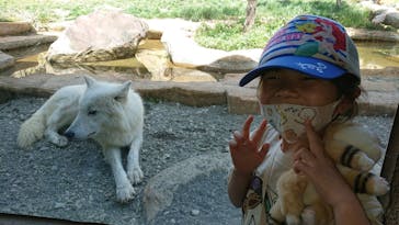 那須どうぶつ王国に投稿された画像（2023/11/4）