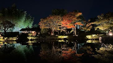 国営昭和記念公園 秋の夜散歩に投稿された画像（2023/11/5）