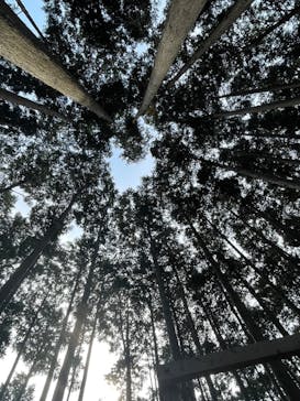 アドベンチャーパーク　オドルの森に投稿された画像（2023/11/5）