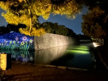 NAKED meets 二条城 2025 観月に投稿された画像（2023/11/5）