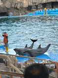 名古屋港水族館に投稿された画像（2023/11/5）