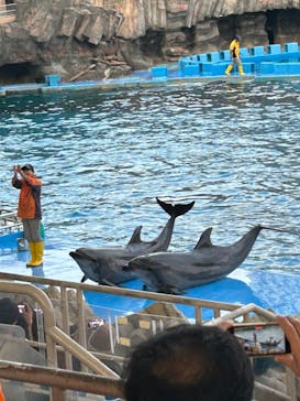 名古屋港水族館に投稿された画像（2023/11/5）