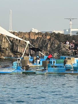 名古屋港水族館に投稿された画像（2023/11/5）
