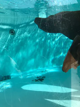 天王寺動物園に投稿された画像（2023/11/5）