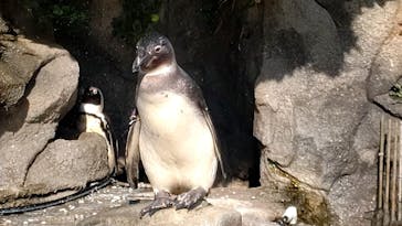 サンシャイン水族館に投稿された画像（2023/11/4）