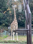 名古屋市東山動植物園に投稿された画像（2023/11/5）