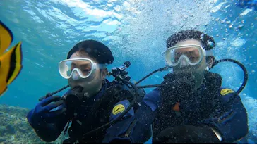 武藤潜水に投稿された画像（2023/11/5）