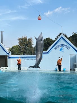 しながわ水族館に投稿された画像（2023/11/5）