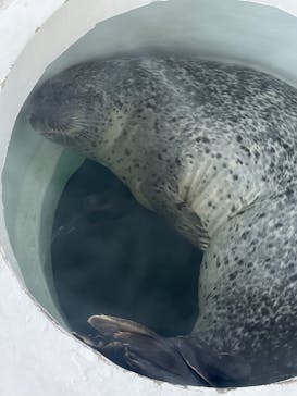 しながわ水族館に投稿された画像（2023/11/5）
