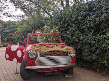 横浜イングリッシュガーデンに投稿された画像（2023/11/5）