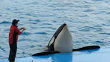 名古屋港水族館に投稿された画像（2023/11/5）