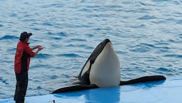 名古屋港水族館に投稿された画像（2023/11/5）