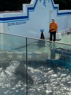 しながわ水族館に投稿された画像（2023/11/5）