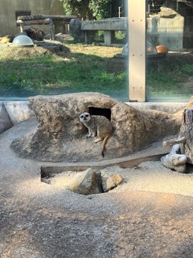 東武動物公園に投稿された画像（2023/11/5）