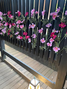 箱根湯寮に投稿された画像（2023/11/5）