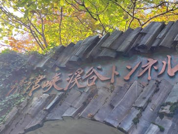 清津峡渓谷トンネルに投稿された画像（2023/11/5）