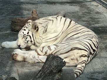 東武動物公園に投稿された画像（2023/11/5）