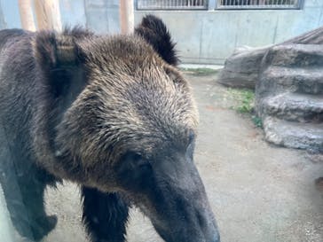 東武動物公園に投稿された画像（2023/11/5）