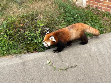 東武動物公園に投稿された画像（2023/11/5）