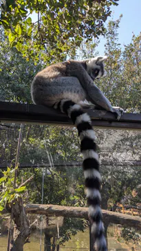 神戸どうぶつ王国に投稿された画像（2023/11/5）