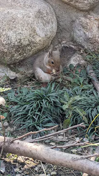 神戸どうぶつ王国に投稿された画像（2023/11/5）