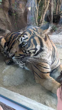 神戸どうぶつ王国に投稿された画像（2023/11/5）