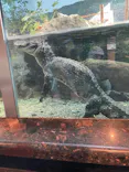 天王寺動物園に投稿された画像（2023/11/5）