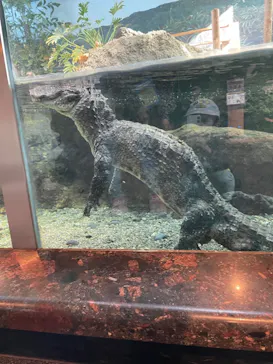 天王寺動物園に投稿された画像（2023/11/5）